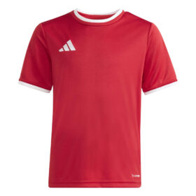 adidas - Entrada26 - Trikot