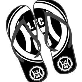 Flip-Flops - Basic - 1.FC 08 Hassloch