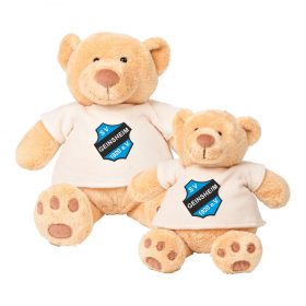 Teddy - Logo - SV Geinsheim