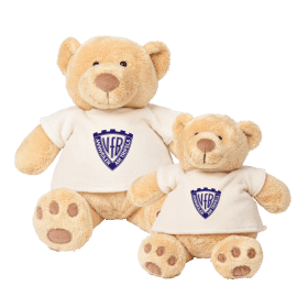 Teddy - Logo - VfB Annweiler