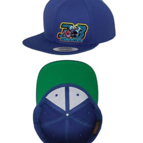 Team Zwetsch - Cap - Snapback - Logo